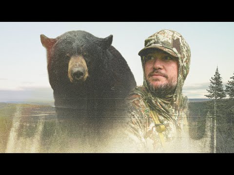 My First Black Bear Bowhunt | Up Close Fight + Perfect Shot