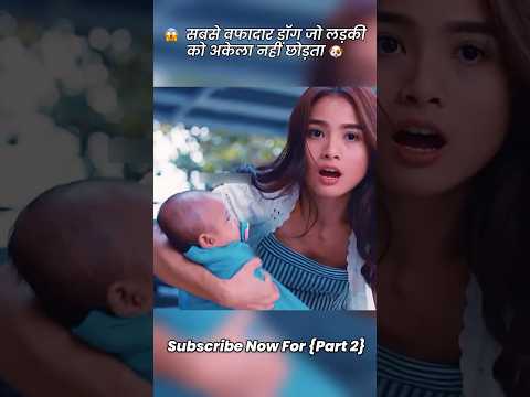 😳 सबसे वफादार डॉग #shorts