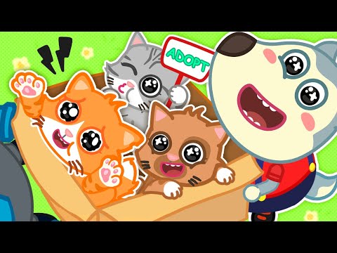 Puppy Wants To Be Happy | More Puppy Song 🎶 Wolfoo Nursery Rhymes & Kids Songs