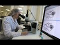 Epidemiology: Understanding the Role and Work of Epidemiologists