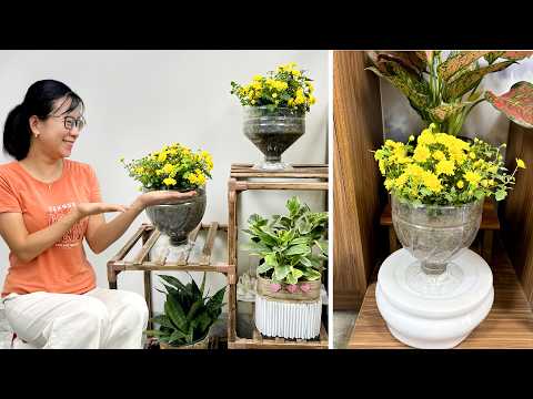 Beautify your living space with these incredibly beautiful and easy to care for flowers