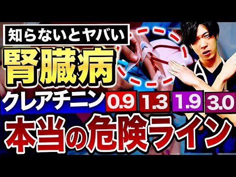 【放置厳禁】腎臓の数値が急上昇したらどうする？今すぐできるステージ別の対策を大公開【看護師解説】