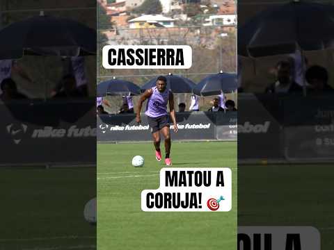 image para ilustrar o artigo
