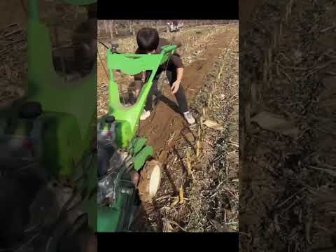 Máy xới đất 4 chức năng động cơ dầu 178F cơ đề #music #automobile #farming