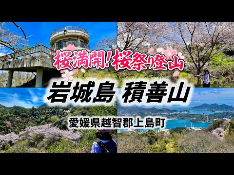 桜咲き誇る岩城島【積善山】桜祭りに登山してきました
