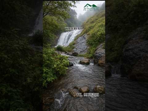 🌿215 ACRE LAND FOR SALE🌿#property#trending#resort#sale#views#travel#waterfall#farming#realestate#eco