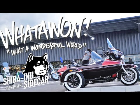 WHATAWON ツーリング【サイドカーに柴犬 #135 WHATAWON Touring】