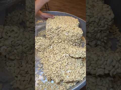 How cashews are processed? #shorts