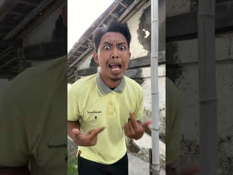 Aku punya gajah terbang 😱