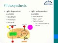 Exploring Bioenergetics for the Biology Keystone Exam