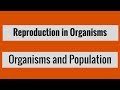 Ecological Concepts and Interactions