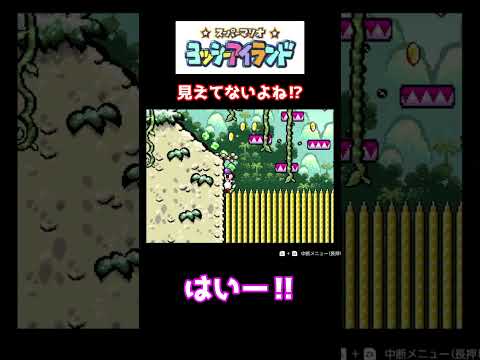 【ヨッシーアイランド】見えてないよね⁉