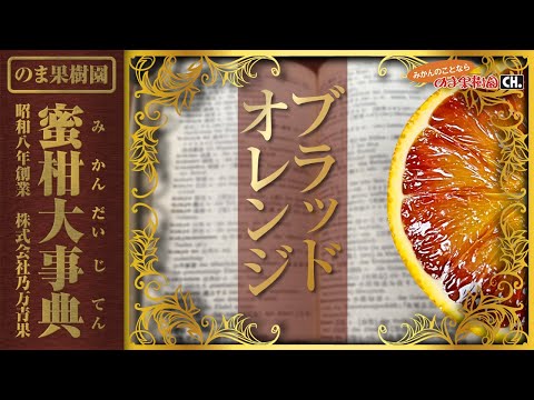 【ブラッドオレンジ】みかん大事典：ブラッドオレンジの全てがわかる【みかんのことなら「のま果樹園」】