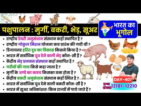 407. पशुपालन: मुर्गी,  बकरी, भेड़, सूअर, Animal Husbandry Poultry, Goat, Sheep, Pig, Geography Nitin