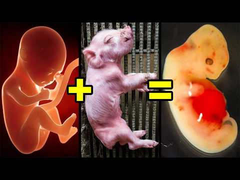 Los Animales Hibridos Más Aterradores Que Existen