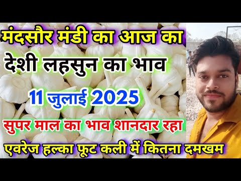 मंदसौर मंडी का आज का लहसुन का भाव | Aaj Ka Lahsun Ka Bhav | Today Garlic Rate | Lahsun Ka Bhav