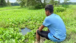 Amazing Fishing Technique 🎣🐠 Fishing In Village Pond Water  ~  Catching Crapfish By Fish Hook