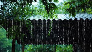 Techo bajo la Lluvia: Relajación, Sueño y Paz Interior con Sonidos Naturales