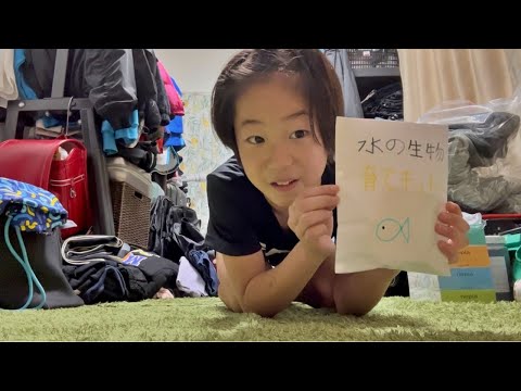 水の生物育てキット１