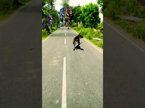 dinosaur Chase t-rex chasing part-242#bigdinosaur #jurassicworld #pterosaurus #dino #trex