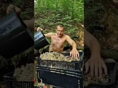 This Incredible Gold Discovery Went Viral on the Internet #shorts #trending #viralvideo