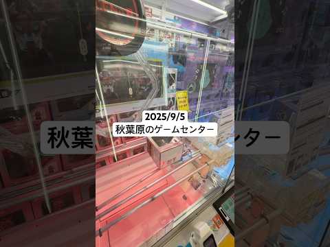 秋葉原のゲームセンターでガンダムプライズを発見2025年9月5日 サムネイル