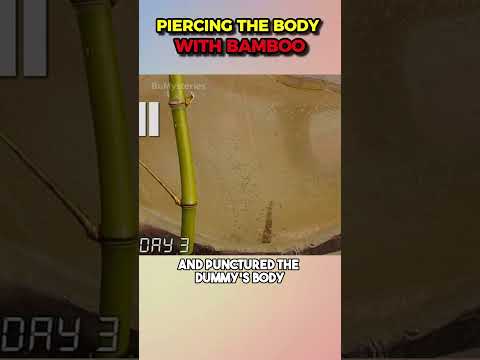 Can A Growing Bamboo Pierce Through A Human Body? #shorts