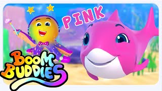 Boom Buddies Apprenons les Couleurs Avec Bébé Requin 🦈🌈 | Chanson Pour Enfants en Français