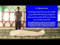 Understanding the Transcript