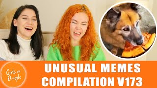 Reaction. UNUSUAL MEMES COMPILATION V173.