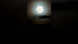 BEAUTIFUL WOLF MOON |2025'S 1ST FULL MOON| JANUARY ,13 #subscribe #explore #nature #fullmoon #art