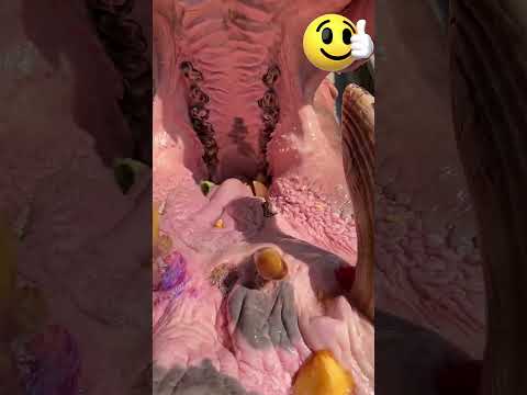 u Kadar Büyük Hayvana Şaka Yapılır mı?! #shortvideo