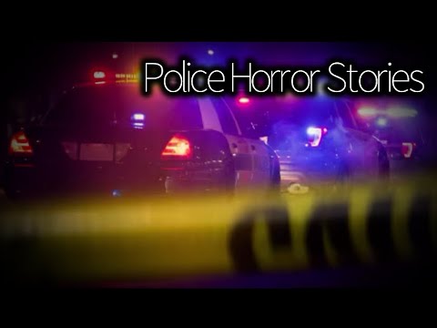 3 TRUE Disturbing Police Horror Stories