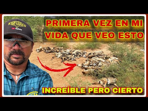 AVENTURA NÚMERO 463 BUSCANDO MIGRANTES NECESITADOS ME ENCUENTRO CON ESTO??? No puedo creerlo