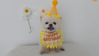 動画サムネイル