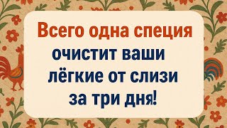 Очистка лёгких от слизи за 3 дня: народный рецепт с одной мощной специей