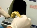 Model Trimming Techniques and Safety