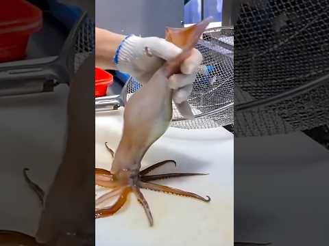 देखिए कैसे समुद्री squid को खाया जाता है। #foodshorts #seafood #foodvlog