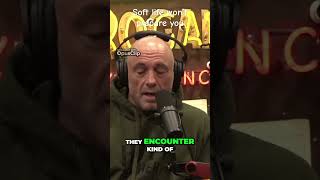 Soft life won’t prepare you for hardship #shorts #podcast #joerogan @therock