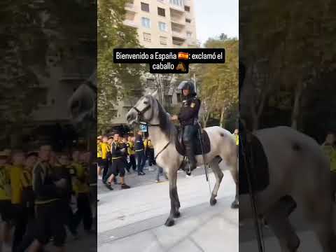Y de pronto un día de suerte #españa #europa