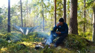 5 DAYS ALONE WITH NO FOOD - CAMPING  IN THE RAIN - LIVING OFF THE LAND