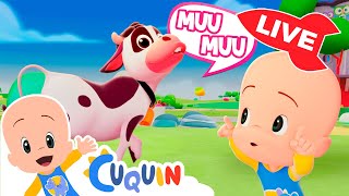 🔴 DIRECTO 🔴 Canciones infantiles y vídeos educativos de Cleo y Cuquín