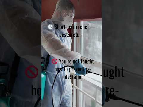 When to DIY vs Hire a Professional Pest Control — with Green Bean Buddy