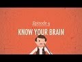 Understanding the Brain and Nervous System
