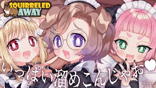 【コラボ】3匹のリスゥ！が走り回るゲーム【Squirreled Away】