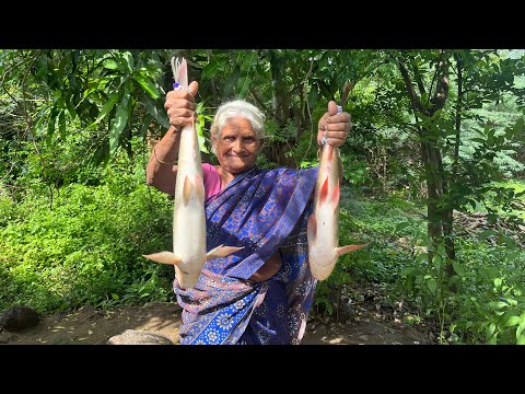 பாட்டி வச்ச மீன் குழம்பு // Village style fish curry // Fish fry // village life