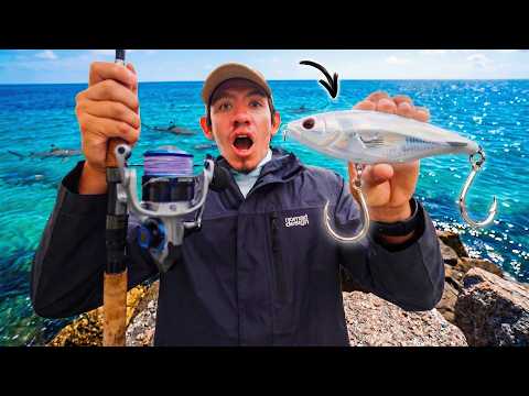 5 days of FL beach & jetty fishing ONLY lures! Sharks, tarpon, bluefish, jack video thumbnail