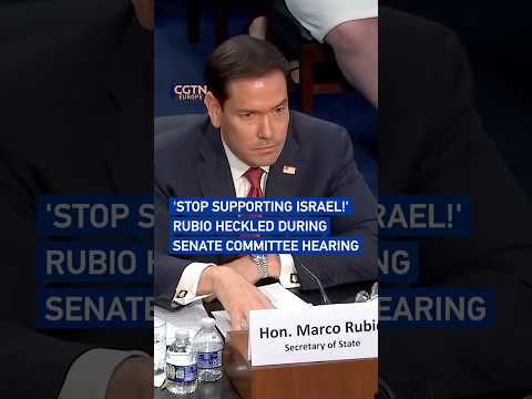 'Stop supporting Israel' - Rubio heckled during Senate committee hearing