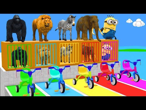 Long Slide Game With Elephant Gorilla Buffalo Hippopotamus Tiger 3d Animal Game Funny 3d Animals
