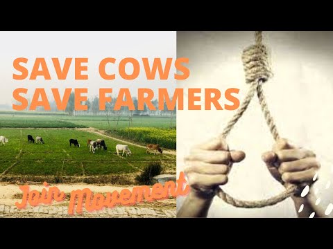 Save Cows- Save Farmers